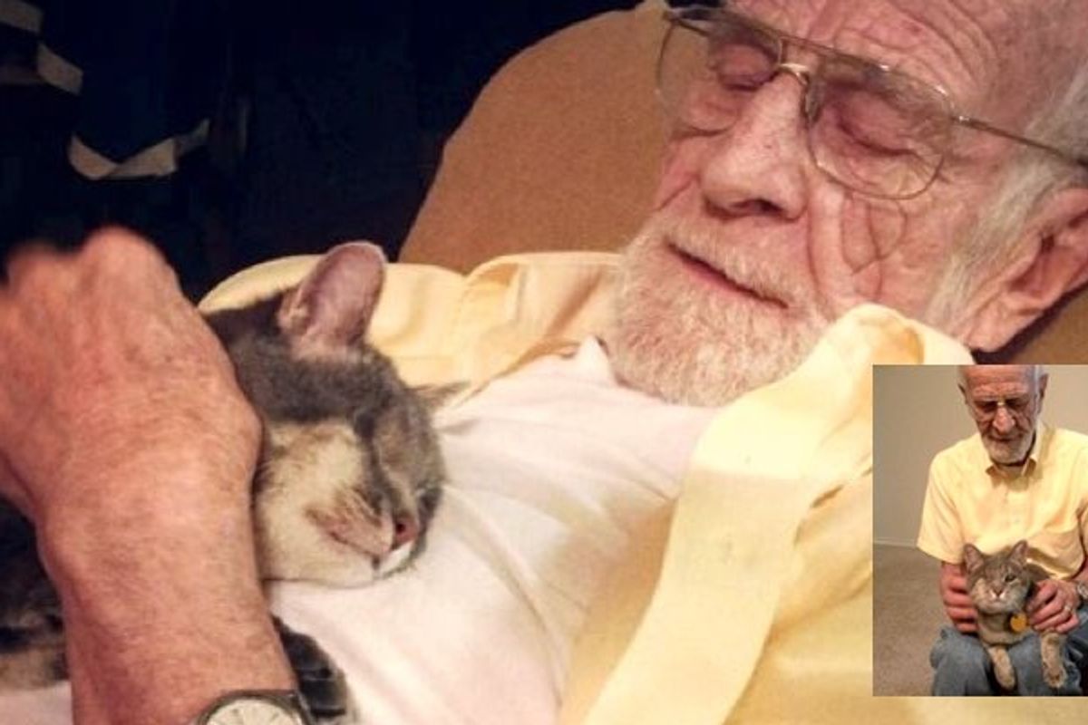 One Eyed Cat Adopted by Grandpa Who Can Only See Through One Eye