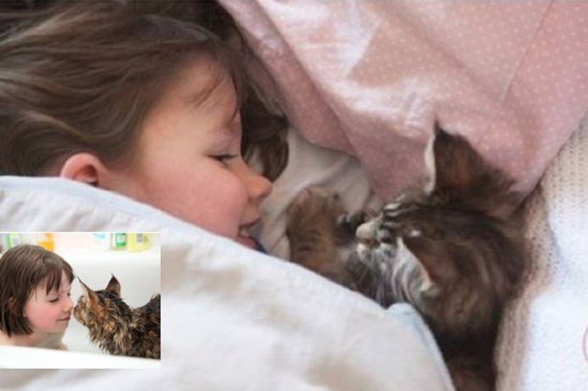 Thula The Cat Helps A Girl With Autism Live A Full Life