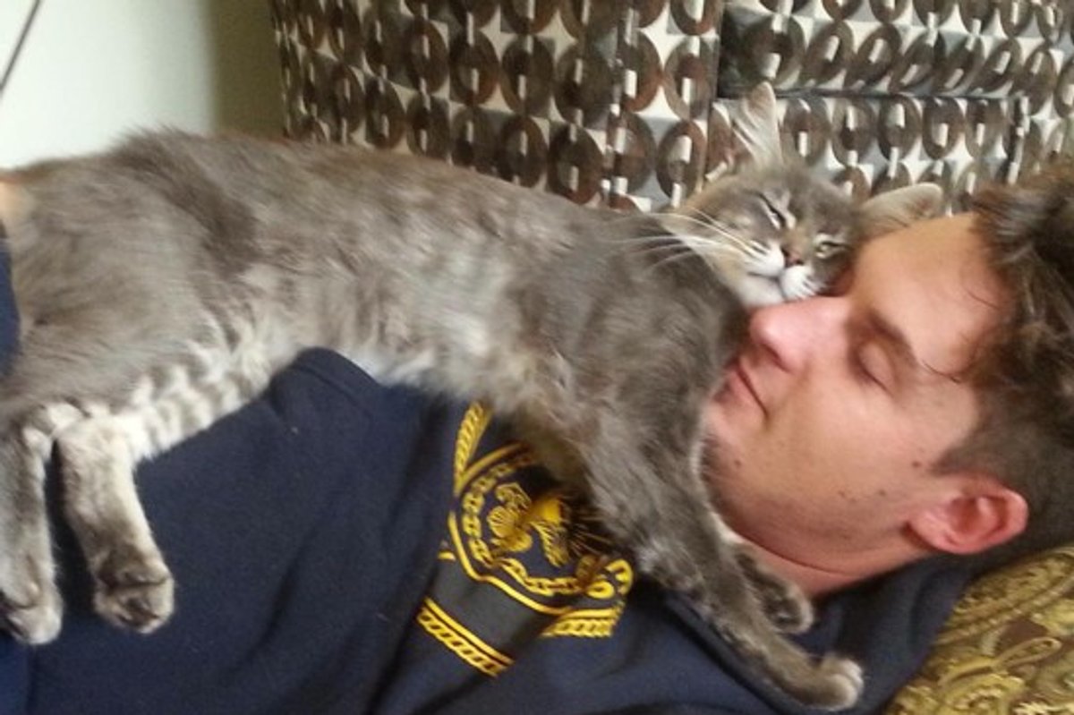 Rescue Cat & Military Man Happy To Be Home
