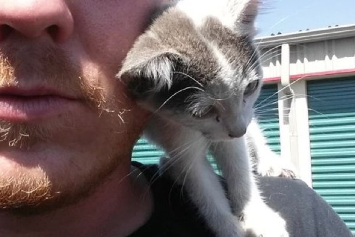 Man Saves Orphaned Kitten From Construction Site