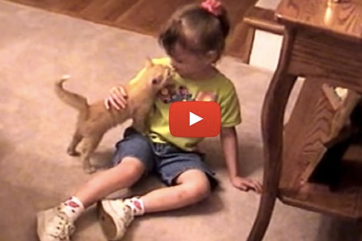 Kitten Cuddles With His Human Sister For The First Time