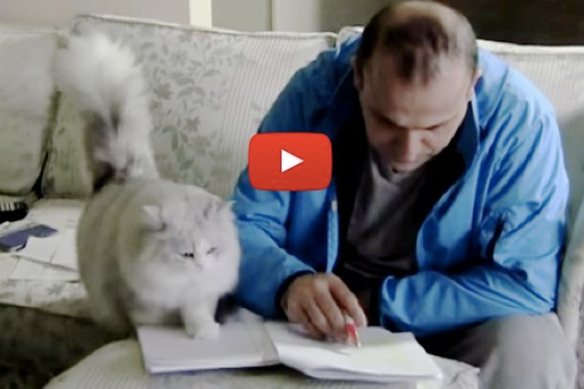 Sushi The Cat Demands Attention Meow!