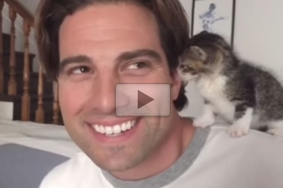 Scott Gets Intel From A Kitten (Updates On Kitten)