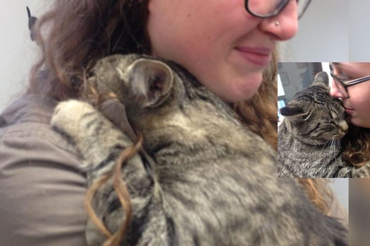 Shelter Cat Gives Volunteer the Biggest Hug and Won't Let Go...