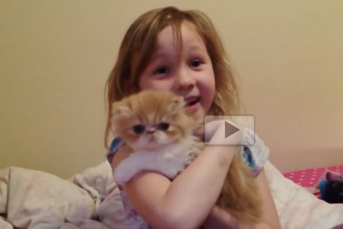 This May Just Be the Sweetest Surprise