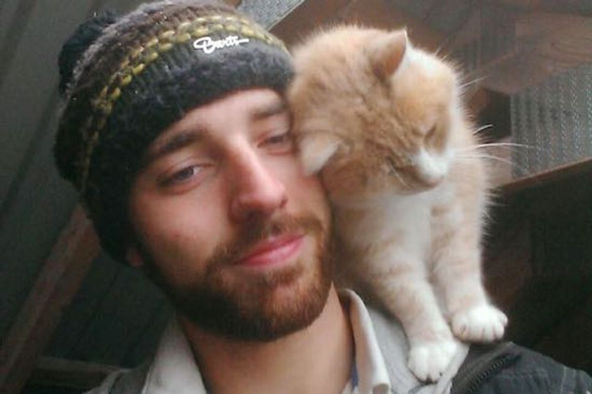 Affectionate Shoulder Cat