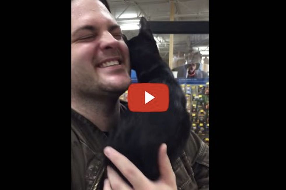 Insanely Affectionate Kitten!