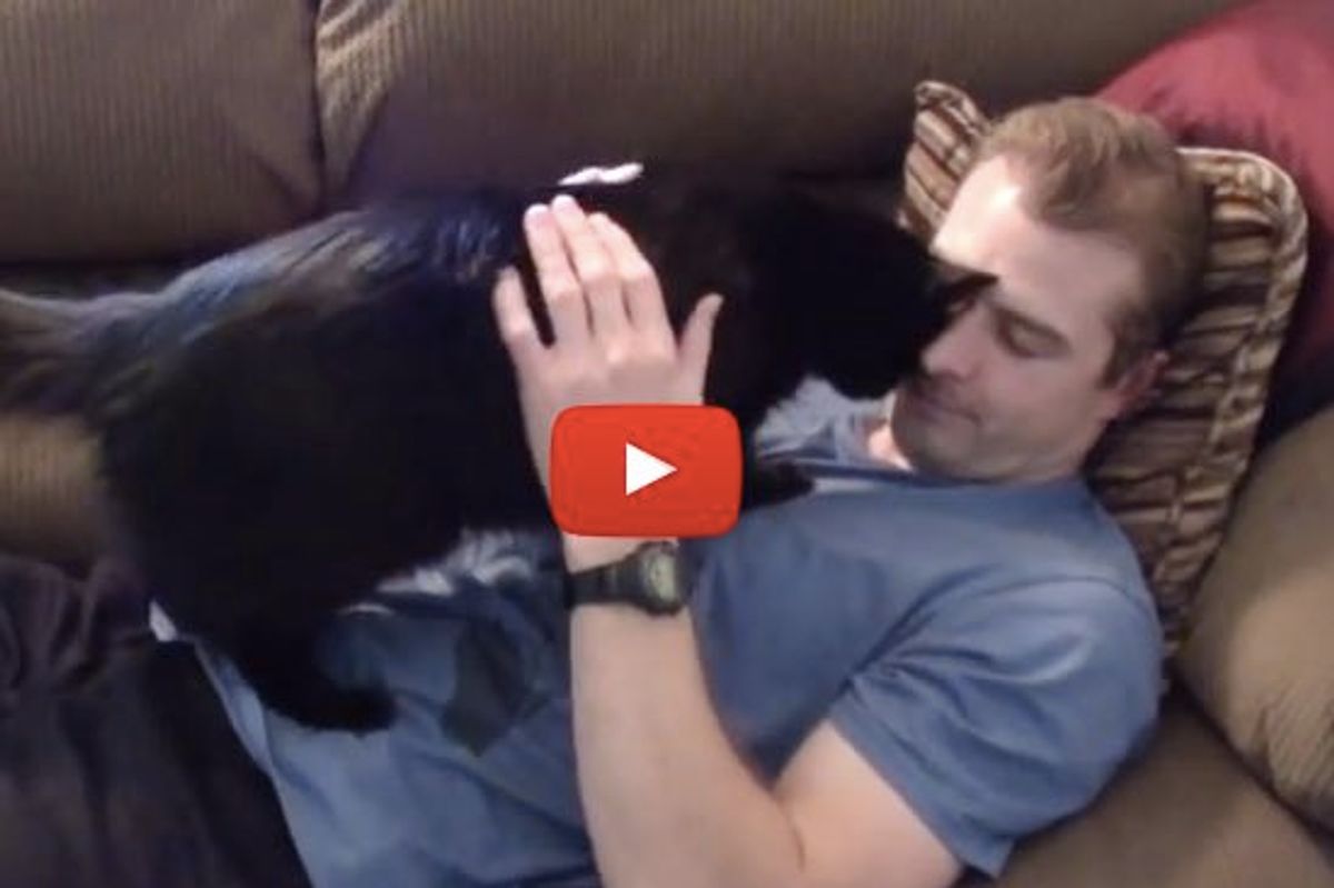 Cole the Cat Really Loves His Human! - Snuggle Compilation
