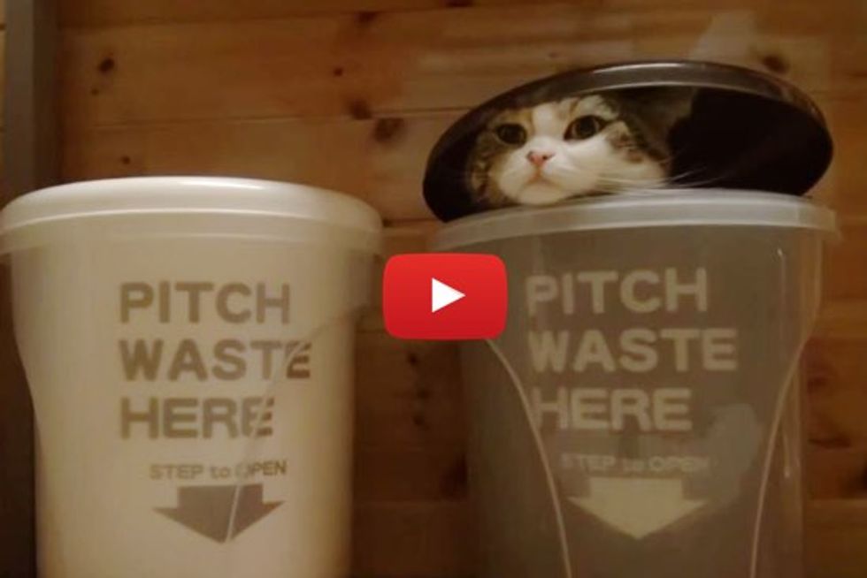 Watch as Maru Hides in a Trash Can and Hana Comes to Find Him