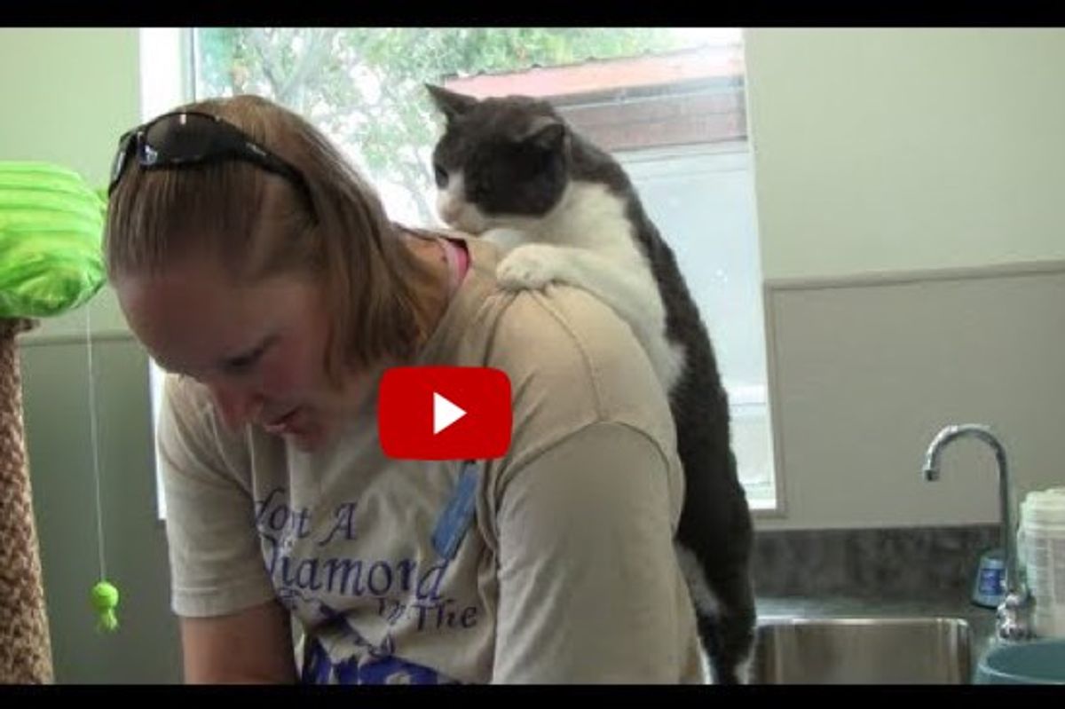 You Scratch My Back, I Scratch Yours