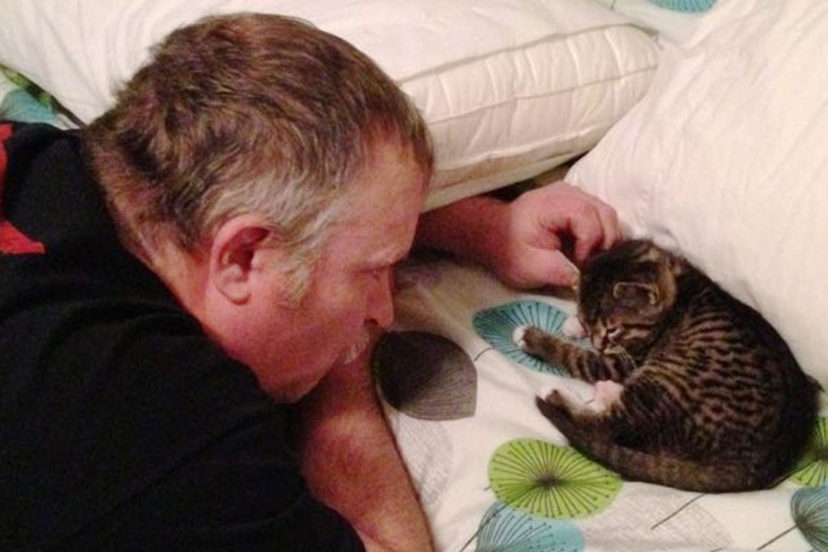 Tough Guy Has a Soft Spot for Cats. Here He is Meeting His New Adopted Kitten