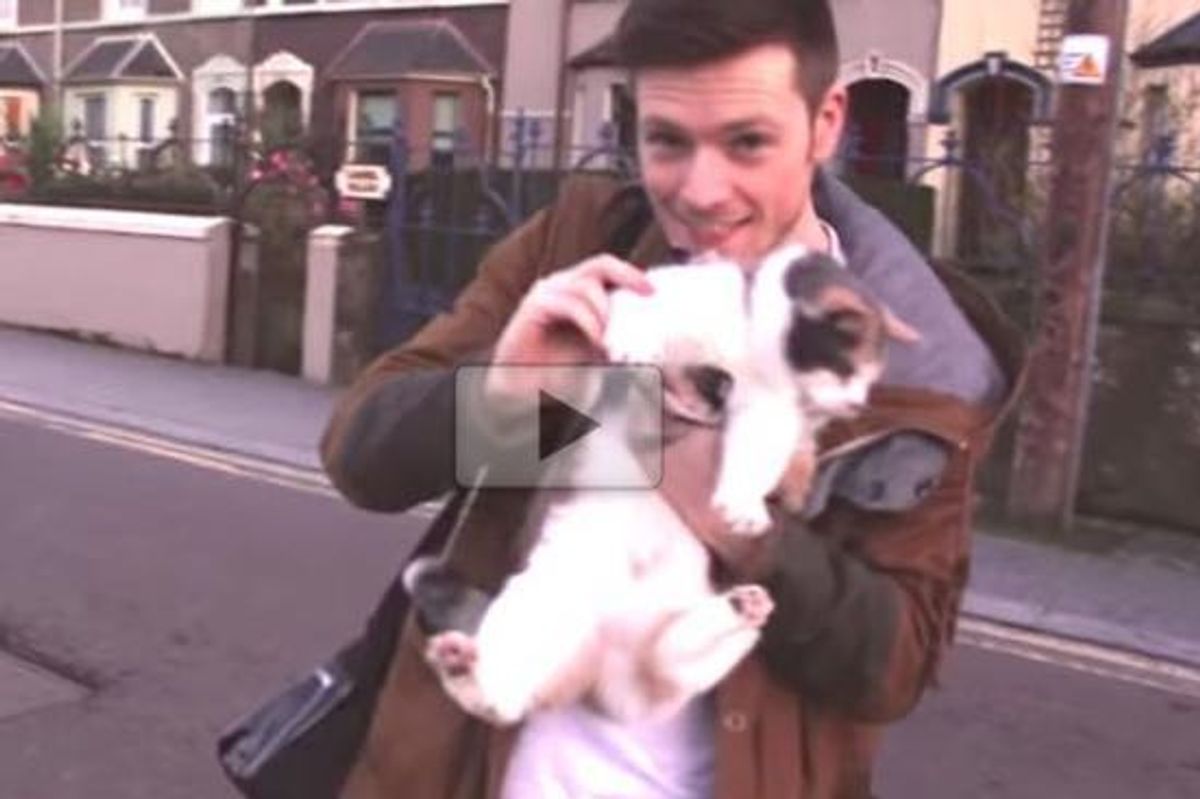 Stevie the Blind Cat Changed This Man's Life Forever