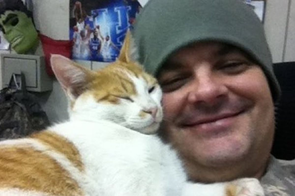 Kentucky Soldier Giving Kuwaiti Cat a New Home in the US