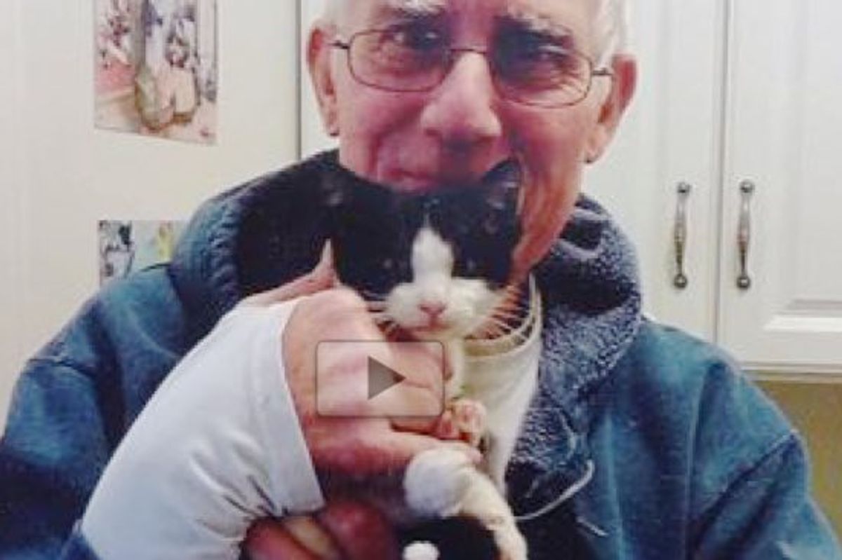 Kitten Rescued from a Mailbox Found Home with a Retired Mailman