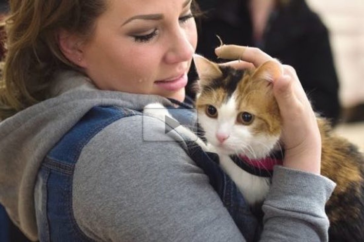Emotional Reunion! Cleo the Calico Cat Reunited with Her Mom After Six Years