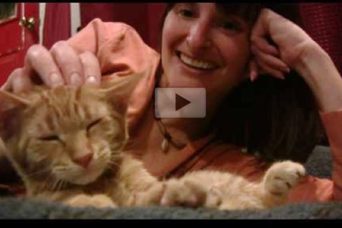 This Couple Couldn't Just Adopt One... Heart Warming!