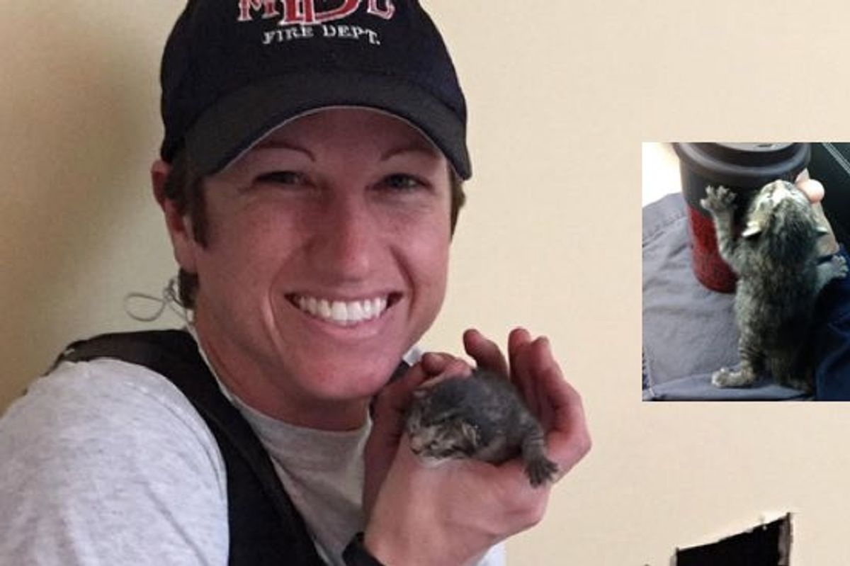 Firefighter Rescued This Kitten Twice! First by Freeing Him from a Wall...