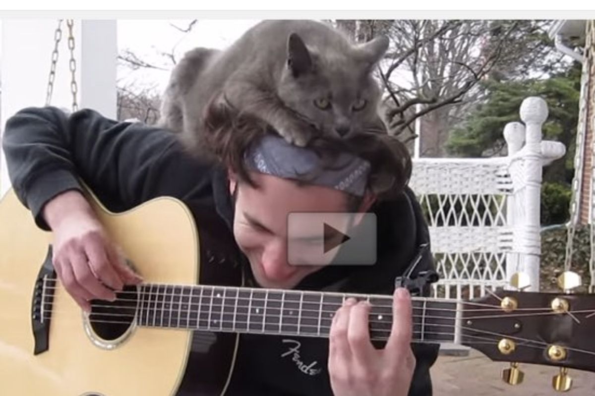 Cat Gets the Best Spot While Her Human Plays the Guitar