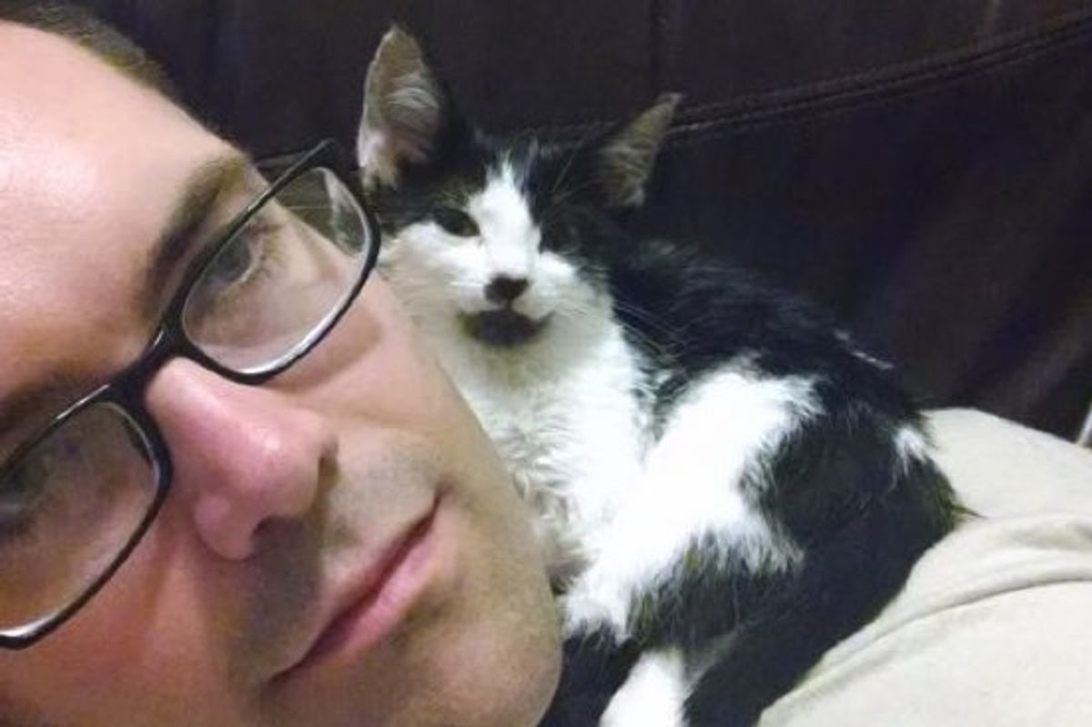 Kind Man Rescues a Kitten Stuck in a Jar