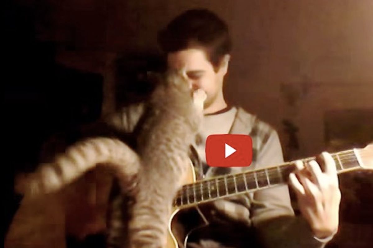 This Cat Wants to Chime in When Her Human Plays a Song