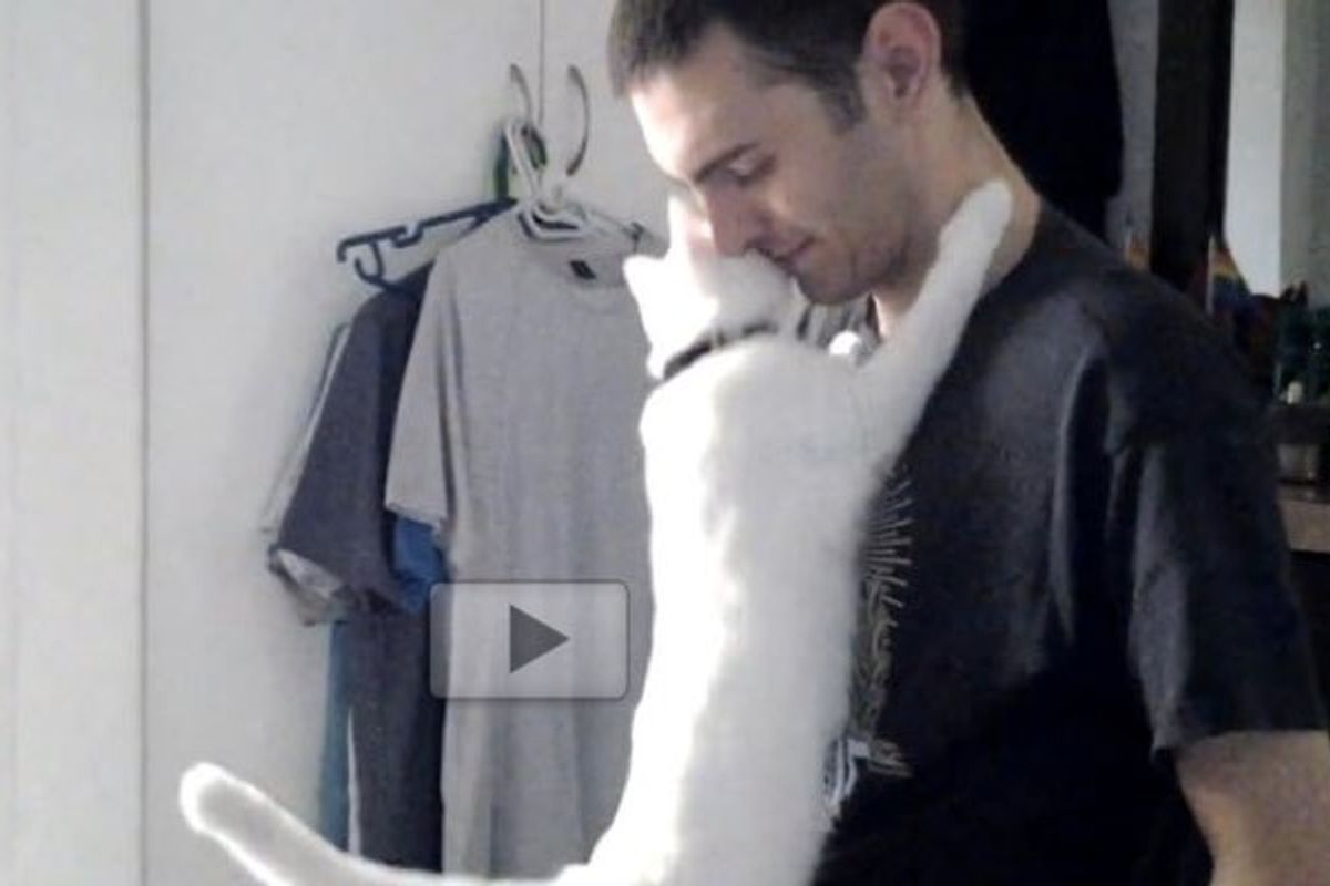 This Cat is So Affectionate. He Cant' Stop Hugging His Human