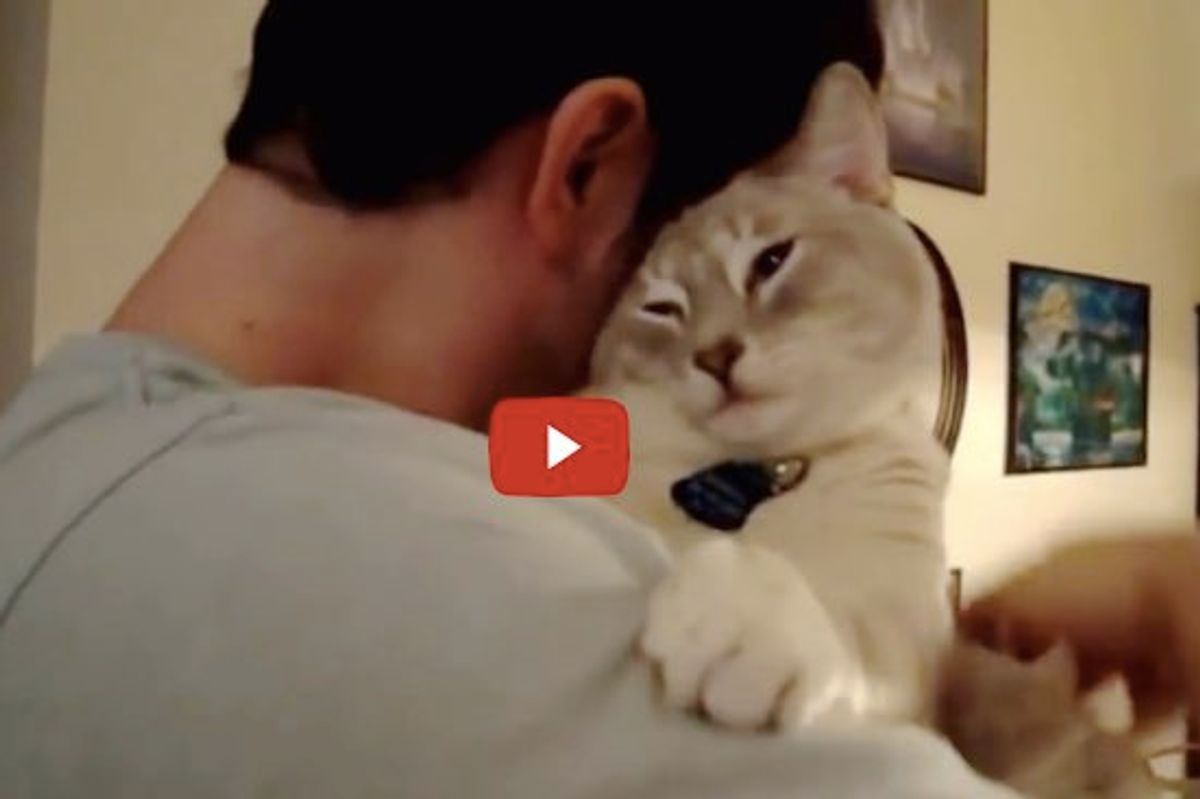All These Hugs and Love! These Kitties Can Turn Any Bad Day Around!