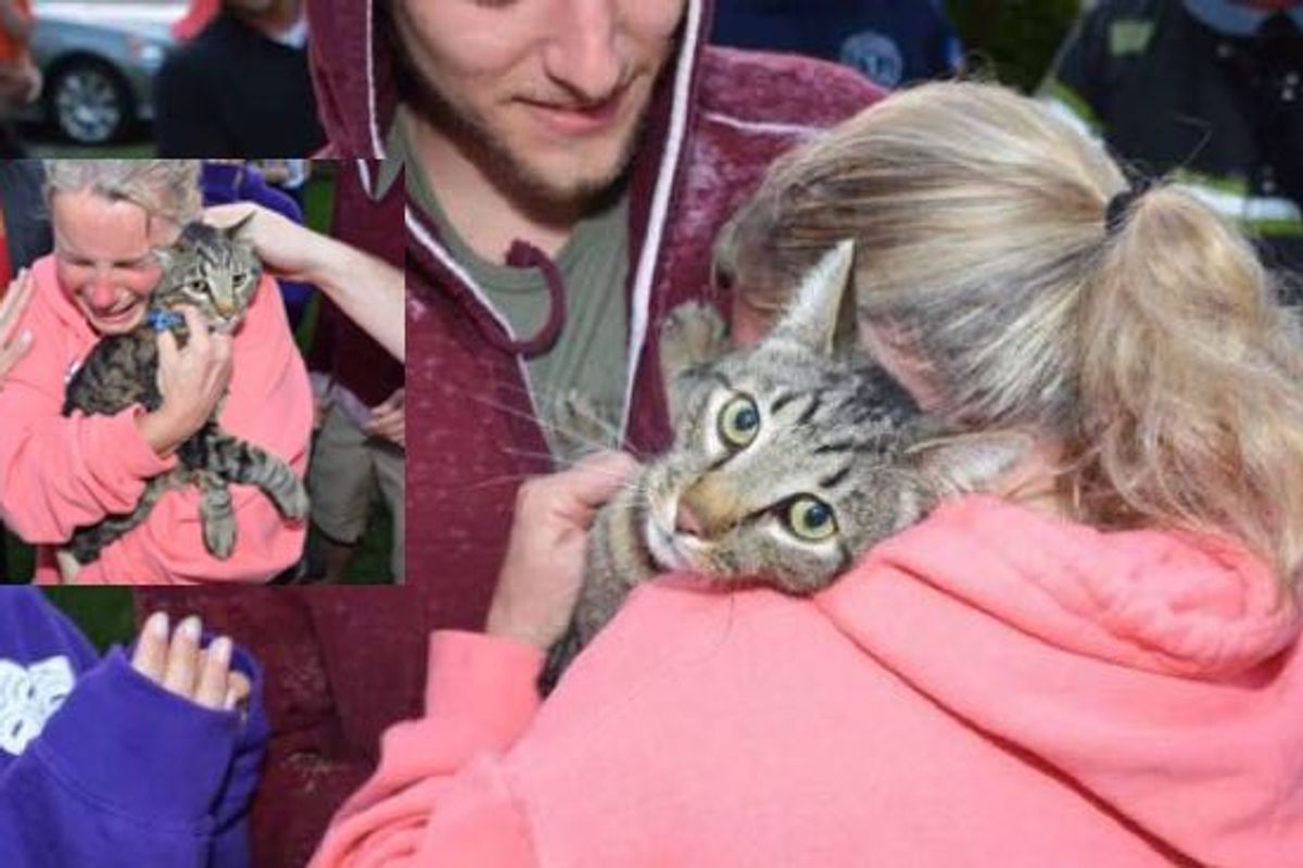 Emotional Rescue! Missing Cat Saved from Well Reunited with Petmom!