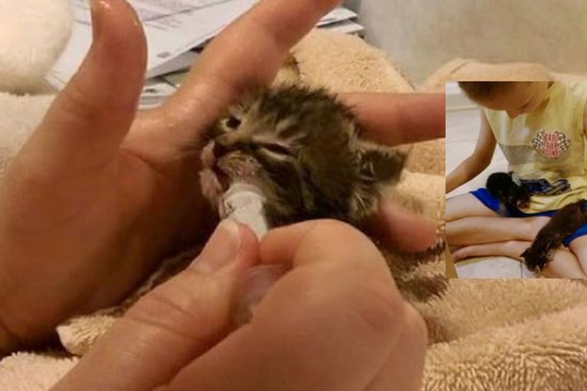 Three Boys Rescue Three Kittens from Drainage Pipe!