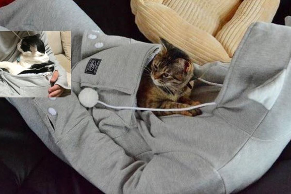 This Hoodie Will Let You Cradle Your Cuddly Kitty Like a Mother Kangaroo!