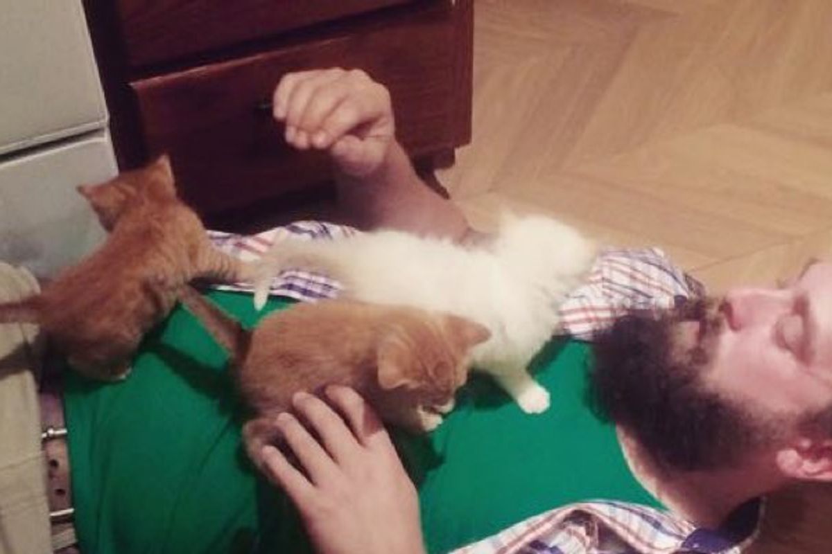 Bearded Guy Becomes Dad to Three Tiny Feral Kittens!
