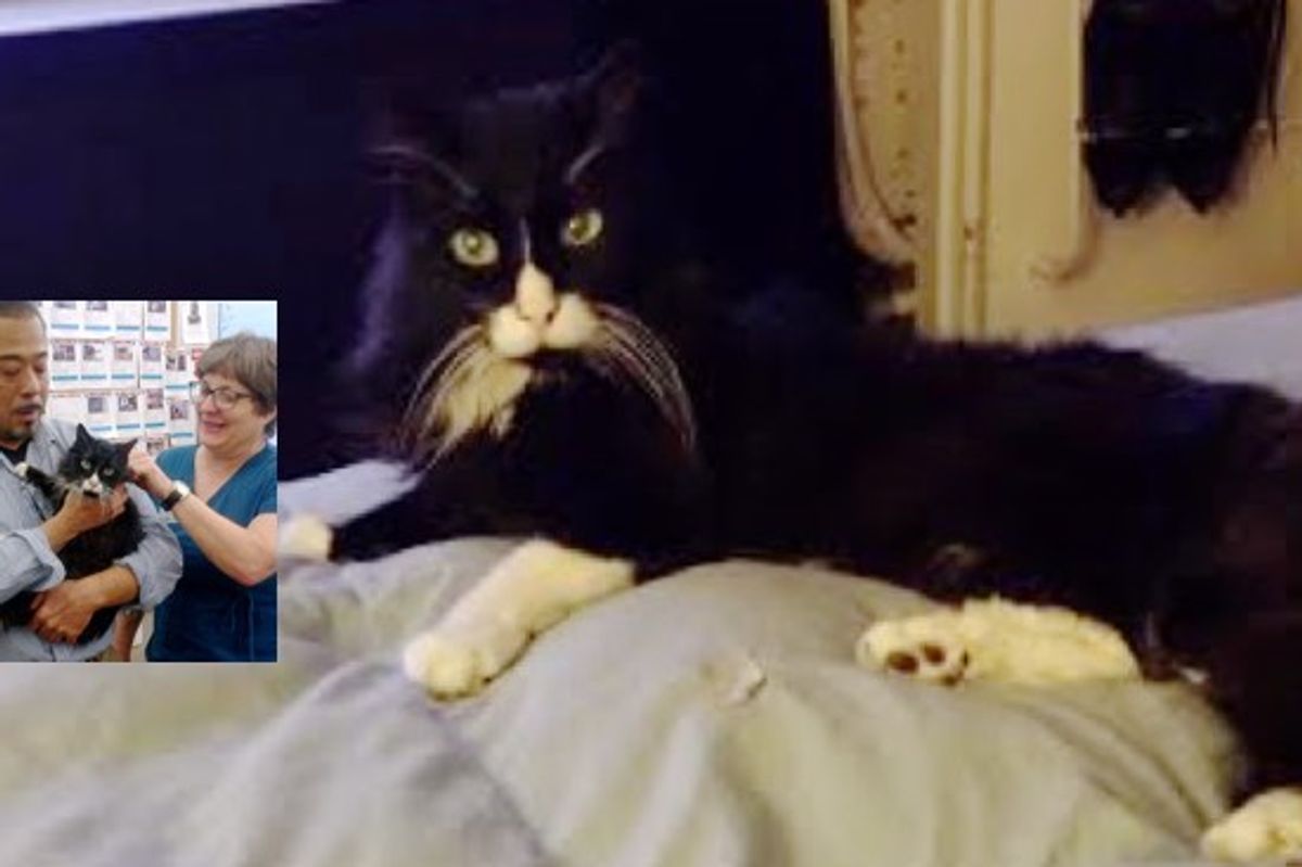 Buddy the 23-year-old Cat Reunited with His Human! There's More to the Story...