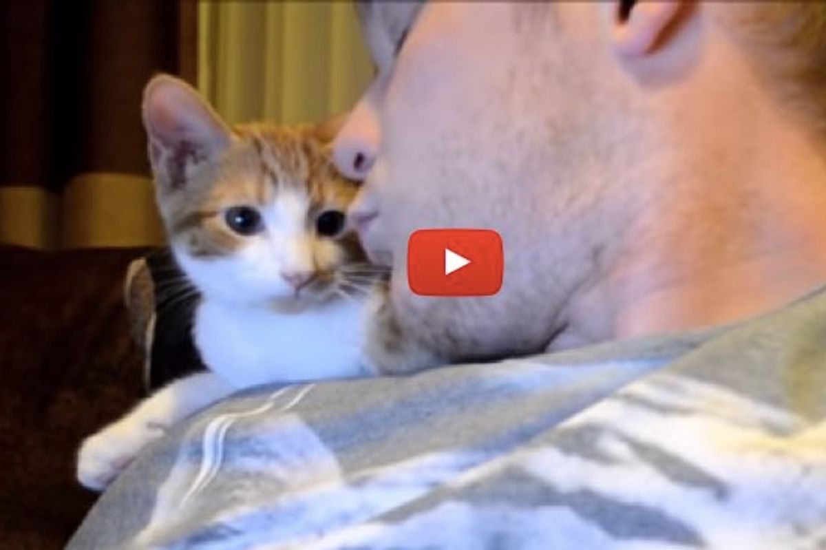 Man and His Best Furiend, Oscar the Cat. The Most Adorable Thing I've Seen All Day!