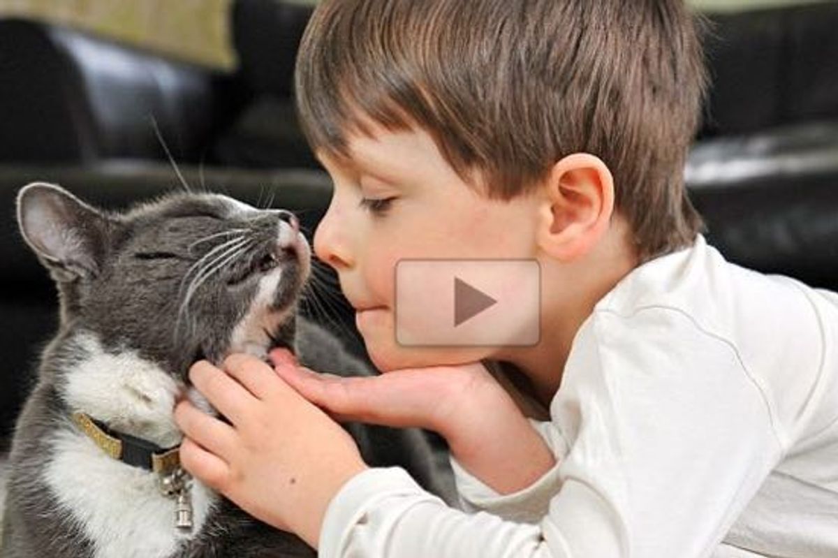 This is How Billy the Rescue Stray Transforms the Life of a Child with Autism