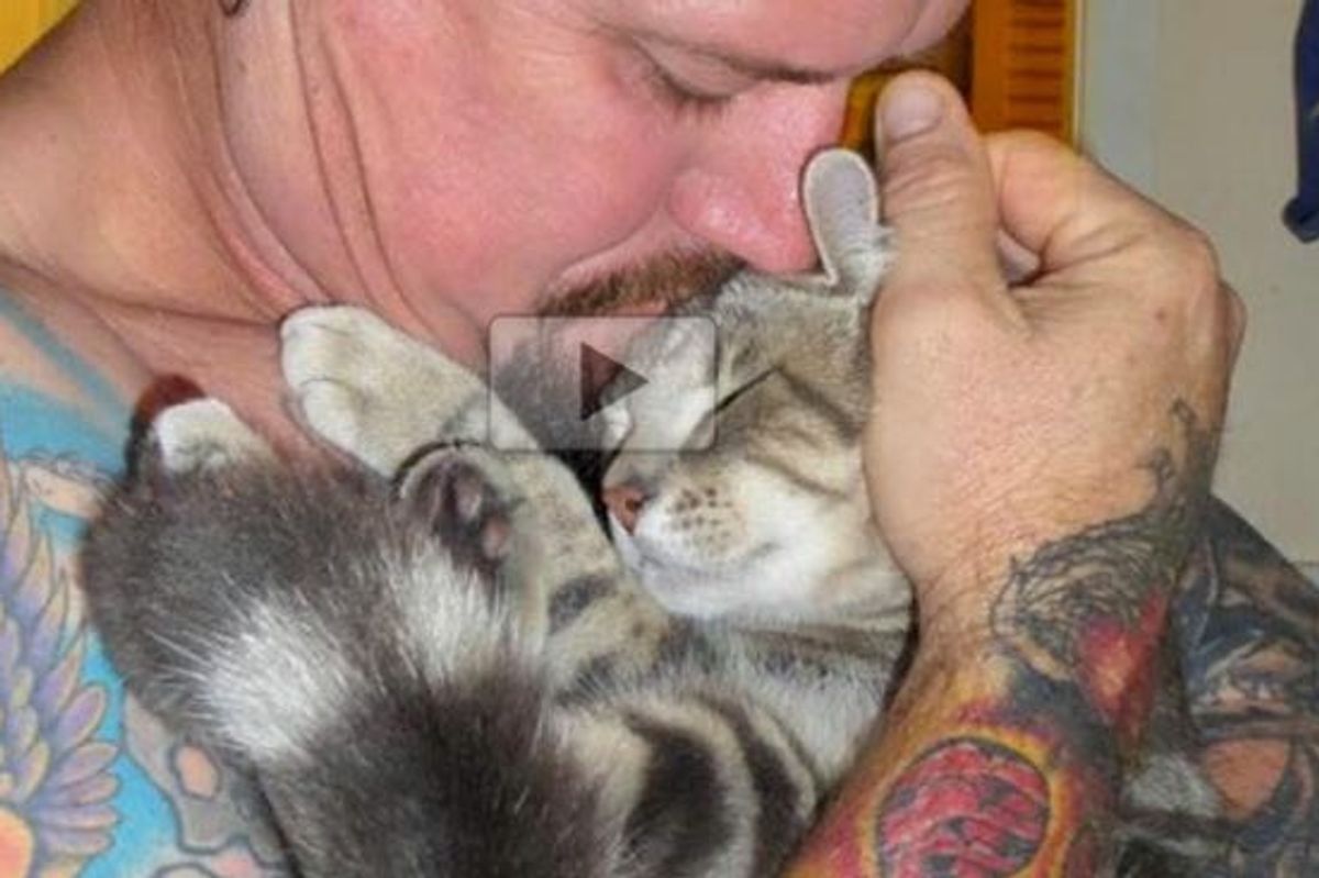 These 16 Pet Dads Love Their Cats Proudly!