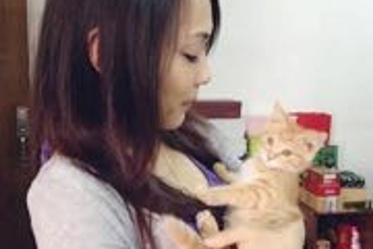 Amy B. Loves Her Cats