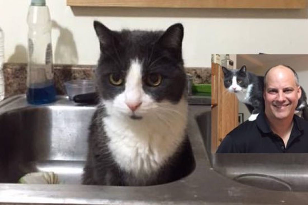 18 Year Old Cat Was Not Too Old to Find His Forever Loving Home!