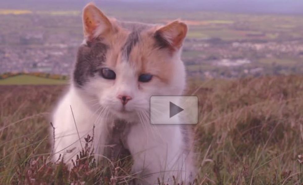 She May Be Blind But She Climbs a Mountain with Her Human Dad!