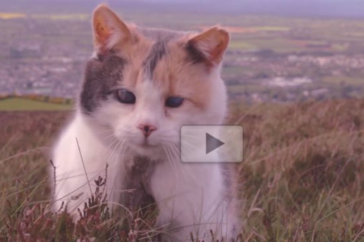 She May Be Blind But She Climbs a Mountain with Her Human Dad!