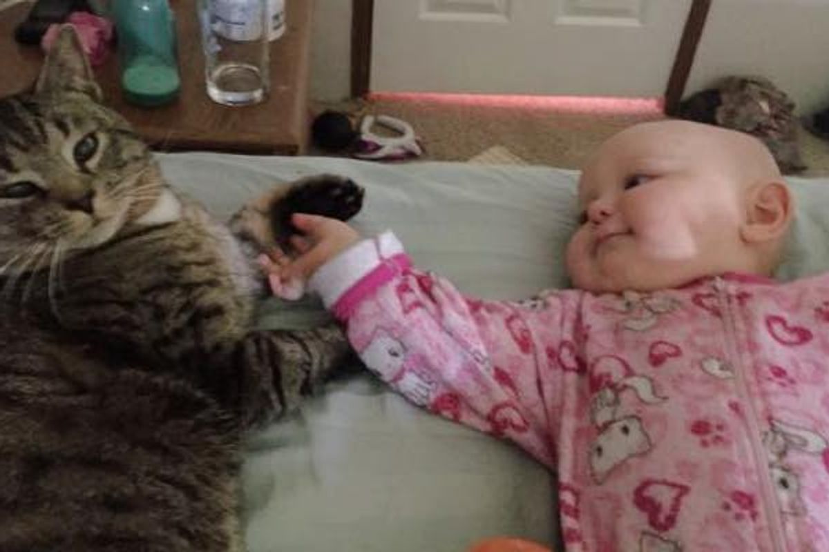 Kitty Found His Human Mom When She was Pregnant. Now He and the Little Baby are Inseparable!