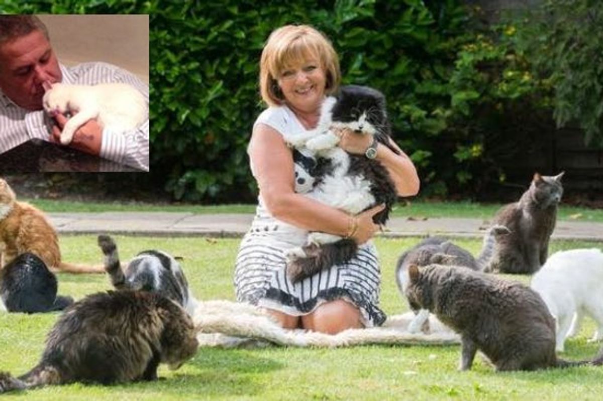 Woman Spends £90,000 a Year Caring for Abandoned Cats. Her Husband Doesn't Mind At All!