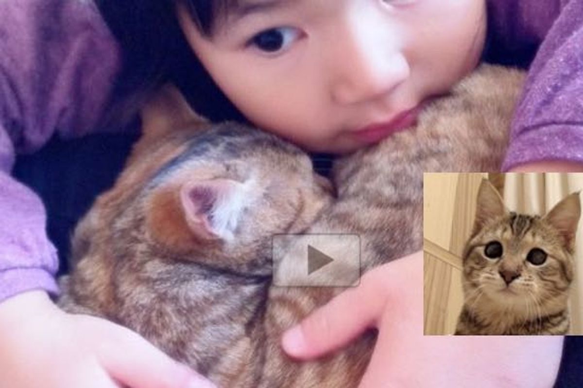 Blind Kitty Gained Sight in One Eye and a Human Sister for Life!