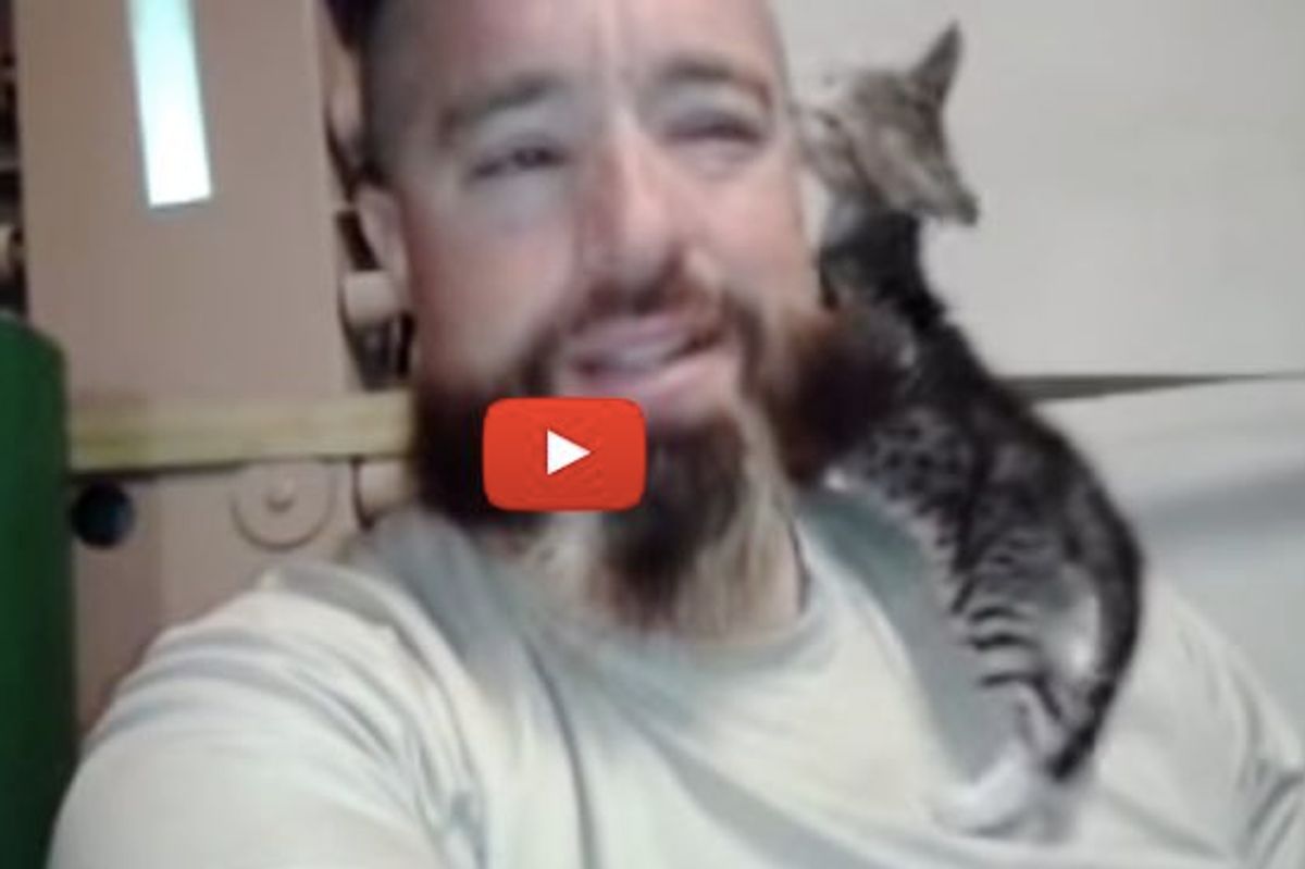 Man Took Tiny Feral Kitten in and Became Her New 'Mom'