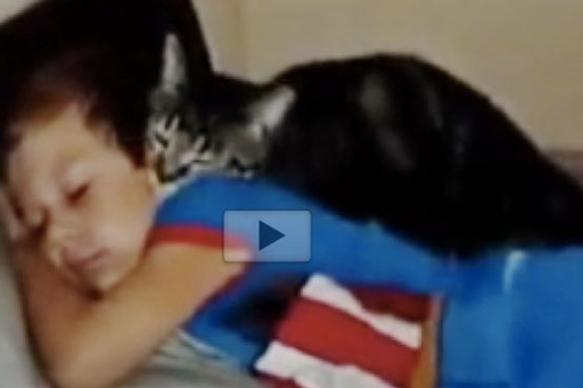 Cat Missed His Human Bestie. The Love He Gives When the Boy Returns Home!