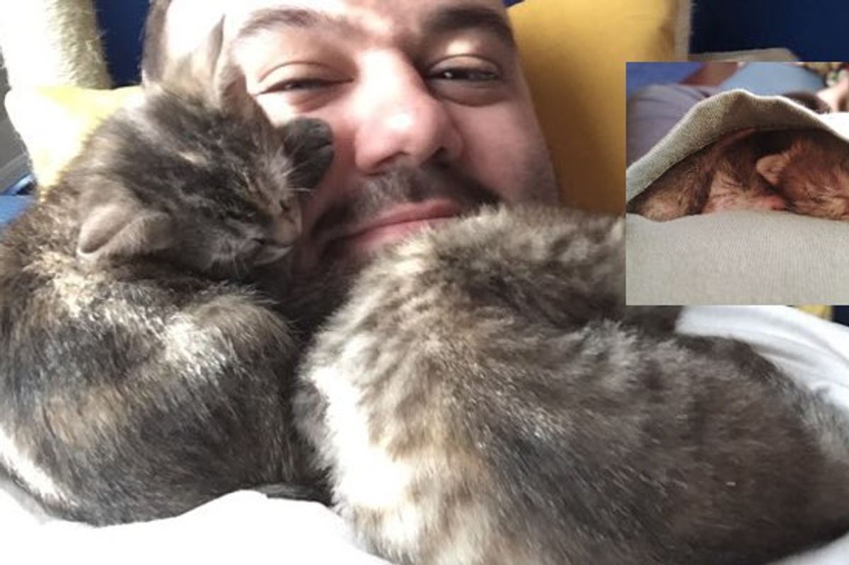 Orphaned Kittens Snuggle with Things that Remind Them of Mom