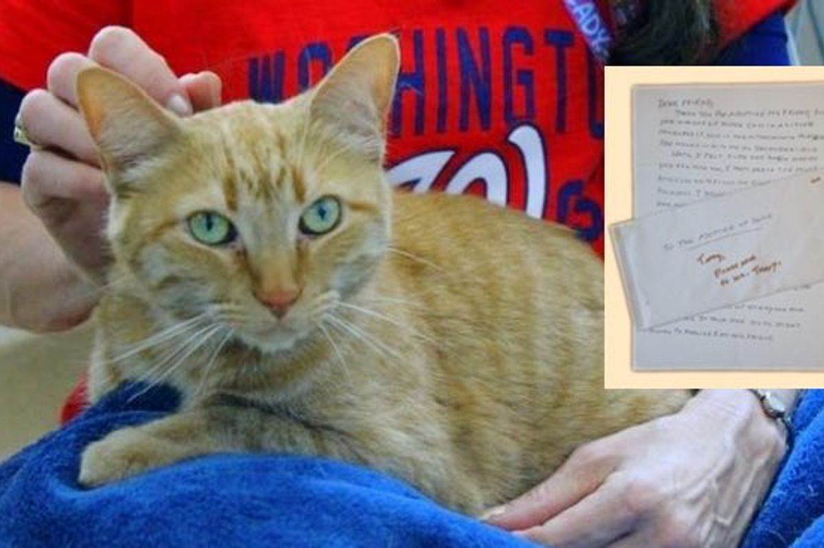 Woman Wrote Heartfelt Note to Her Cat's Future Human Before She Passed Away