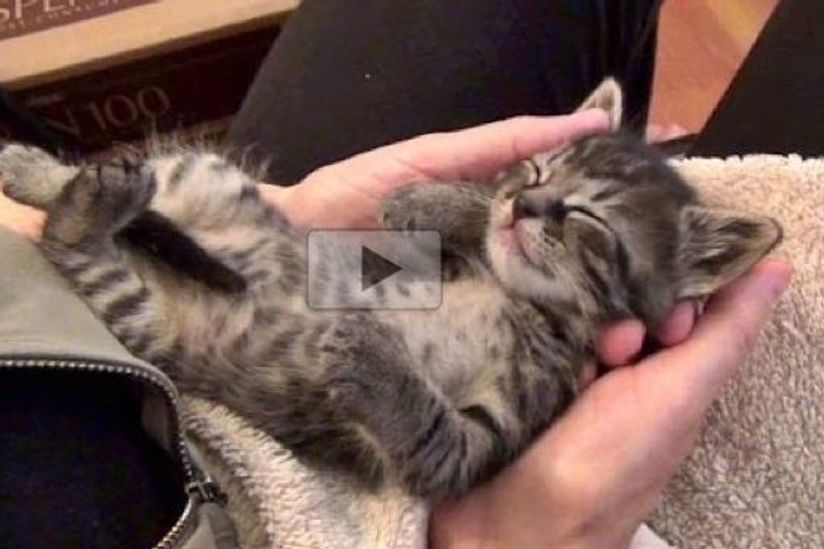 Foster Baby Blissed Out in Love and Trust. This is Heart Tugging!