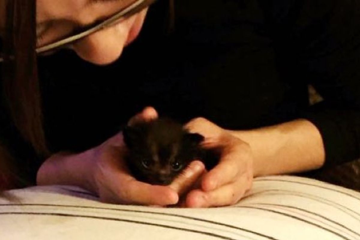 She Wouldn't Give Up on Her Runty Kitten Even When Told Many Times to
