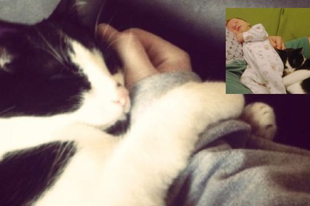 Stray Kitten Rescued by Pregnant Woman Returns Love to Her and Her Son