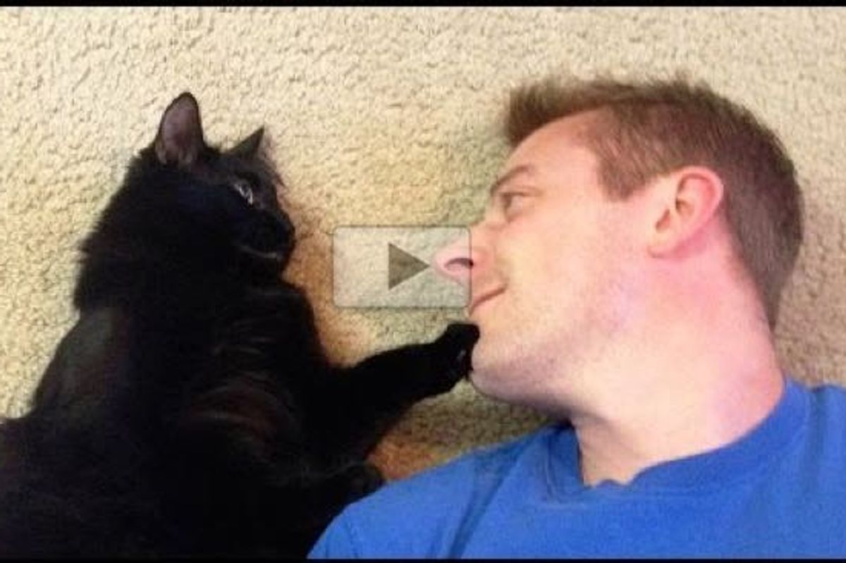 We're Lucky to be Owned by Black Cats. This Makes Me Want to Adopt Another One!