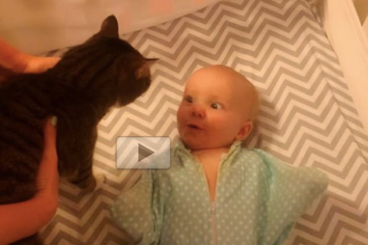 Baby Loves Her Kitty So Much She Can't Handle It